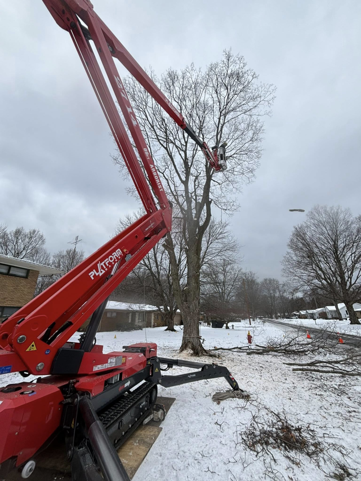 An arborist in a spider lift performing tree removal services for Valera Tree Services in Benton Harbor, MI.