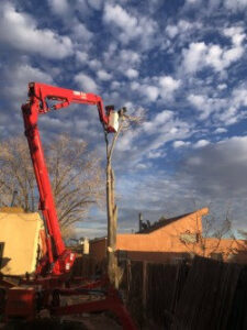 An arborist from Kiki's Tree Service in an aerial lift performing precise tree trimming in Albuquerque, NM.