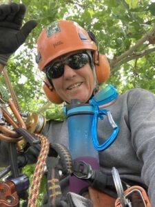 An arborist in an orange helmet and climbing gear smiling from a tree, performing services for Flygirl Trees in Albuquerque, NM.