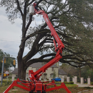 An arborist in a spider lift bucket actively trimming a large tree for GrowGreen Professional Tree Service in Baton Rouge, LA.
