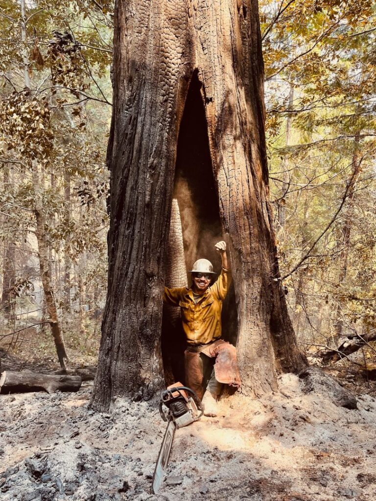 An arborist from Wild Roots Arborist smiling inside a hollowed-out, burnt tree trunk with a chainsaw nearby in Fayetteville, AR.
