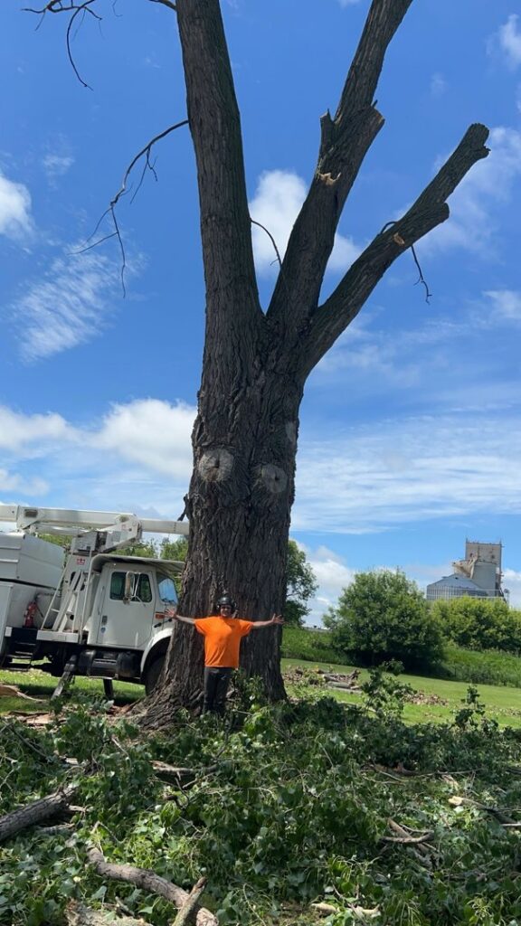 An arborist standing next to a large tree trunk after significant removal by Custom Cuts Tree Service in Watertown, SD.