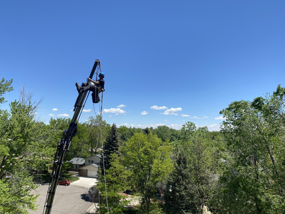 An arborist suspended from a crane arm performing tree removal services for Parkview Tree Service in Sheridan, WY.