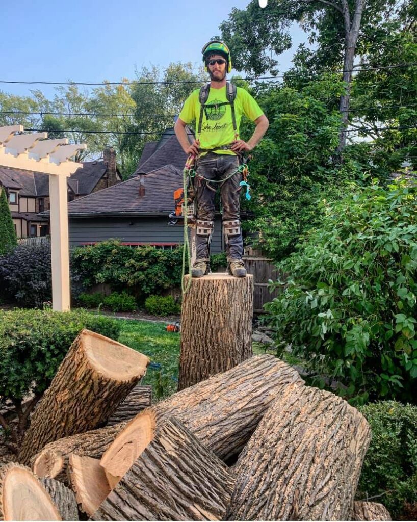 A skilled arborist in safety gear standing on a tree stump, surrounded by cut logs after a tree removal by Lake Forest Tree Service LLC in Milwaukee, WI.
