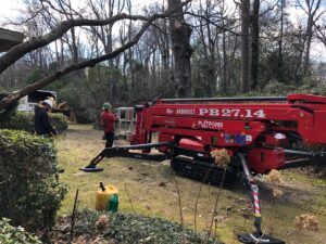 Tree service workers with a red tracked arborist platform preparing for tree work in a residential yard for State Tree Services, Inc in Sumter, SC.