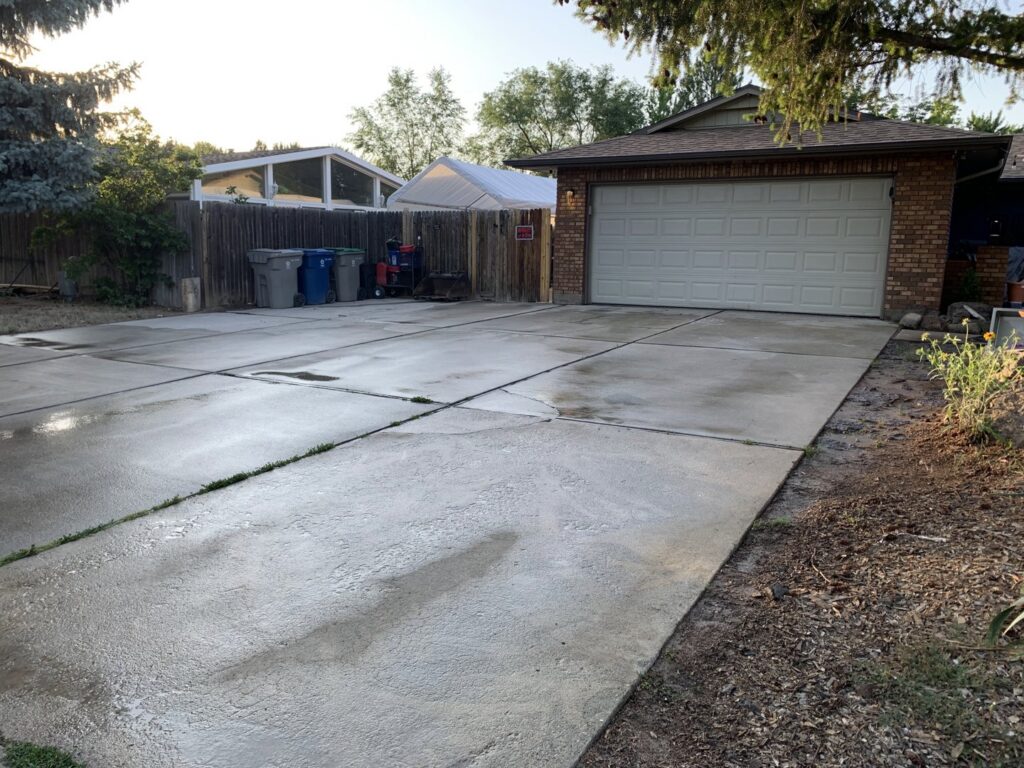 An arborist in safety gear pruning a tall tree next to an evergreen for Tapson's Tree Service in Boise, ID.