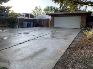 An arborist in safety gear pruning a tall tree next to an evergreen for Tapson's Tree Service in Boise, ID.