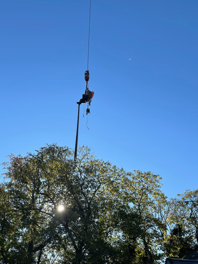 An arborist suspended high by a crane performing tree pruning or removal for Johnson Tree Services in Monrovia, CA.