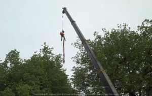 An arborist suspended from a crane performing tree removal services for St. Charles Tree Service in St. Charles, MO.