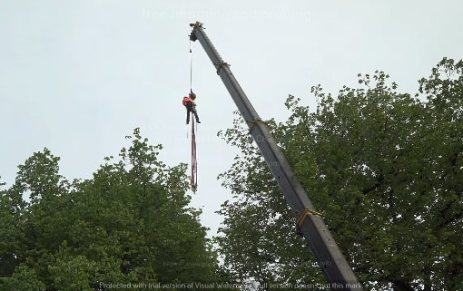 An arborist suspended from a crane performing tree removal services for St. Charles Tree Service in St. Charles, MO.