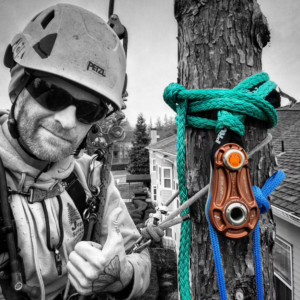 An arborist from Triple Acorn Tree Service in Portland, OR, giving a thumbs-up while secured in climbing gear on a tree.