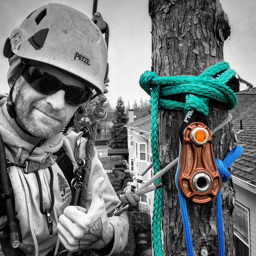 An arborist from Triple Acorn Tree Service in Portland, OR, giving a thumbs-up while secured in climbing gear on a tree.