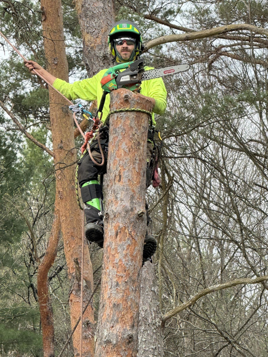 An arborist in full safety gear with a chainsaw, climbing a tree for A-Town Cut Down Tree Services LLC in Youngstown, OH.
