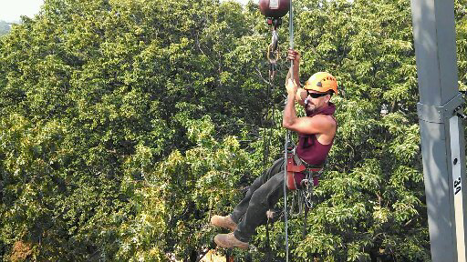 An arborist in safety gear suspended by ropes, performing tree work for Baltimore Tree Experts in Baltimore, MD.