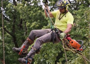 An arborist from Arbor Med Tree Service suspended by ropes, using a chainsaw for tree removal in Wichita, KS.