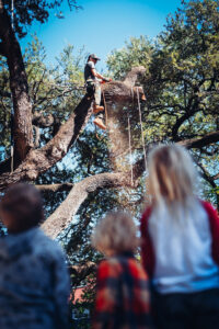 An arborist cutting a tree branch while children watch from below, demonstrating safe tree work in Austin, TX by Ozark of Austin.