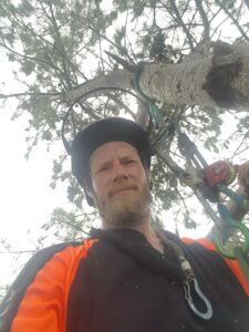 An arborist in climbing gear high in a tree, with cut branches on the ground, performing tree removal for Arborist Matt Cole in Brewer, ME.