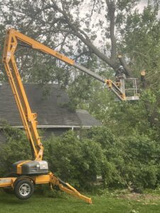 An arborist performing tree trimming from a bucket lift, ensuring precise cuts for tree health by Capital Tree Company in Des Moines, IA.