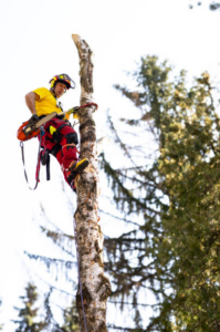 An arborist in safety gear using a chainsaw for tree trimming services by Kerrific Trees Llc in Idaho Falls, ID.