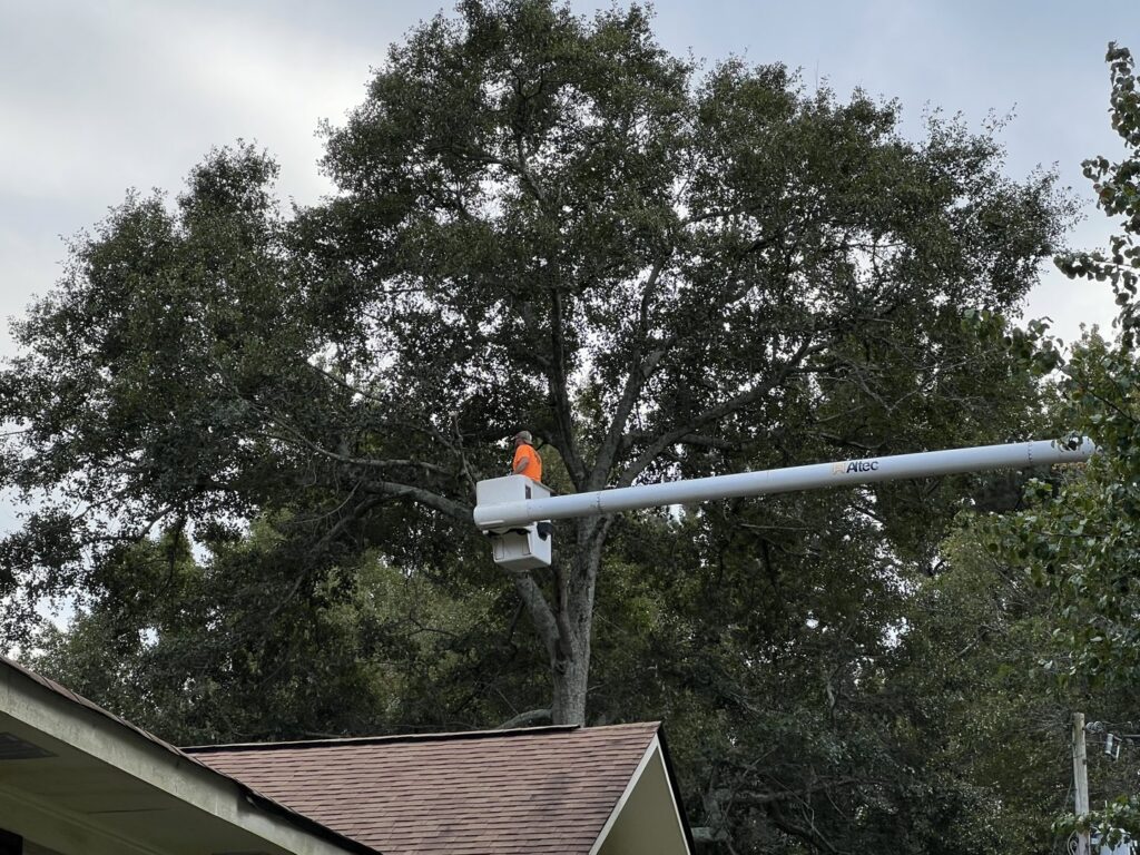 An arborist in a bucket lift performing tree trimming services over a residential roof for State Tree Services, Inc in Sumter, SC.