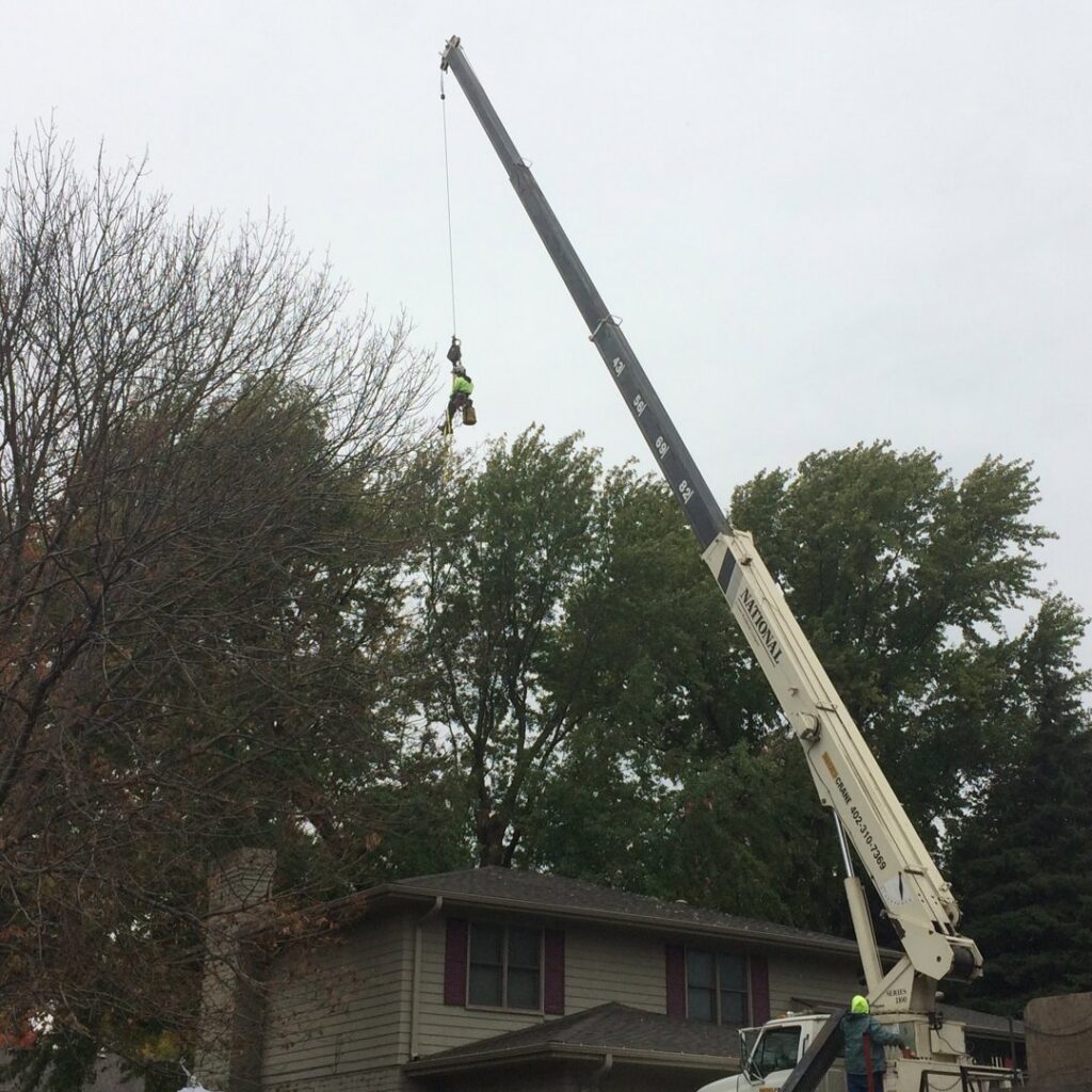 An arborist from Monster Tree Service of Omaha, NE, is trimming a bare tree with cut branches visible on the ground below.