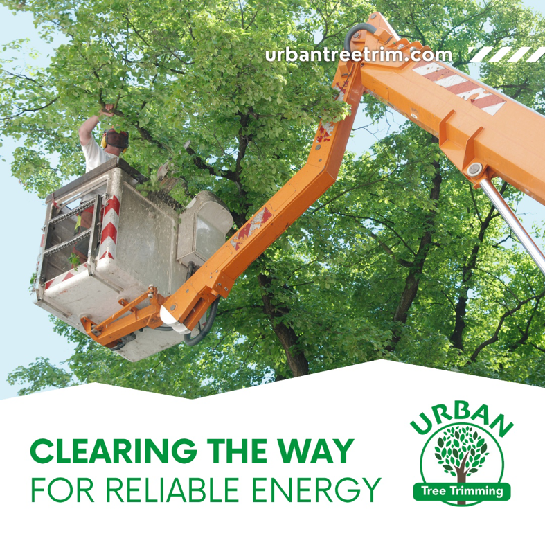 An arborist trimming branches from a large tree using a bucket lift for Urban Tree Trimming Services in Detroit, MI.