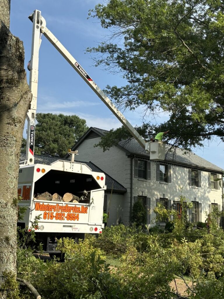 An arborist in a bucket truck trimming tree branches near a residential house, provided by Webster's Tree Service Nashville TN in Antioch, TN.