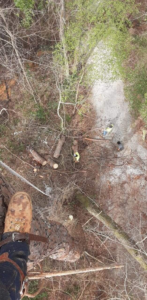 An arborist's view from high in a tree, showing workers on the ground and cut branches below, from J.W. Tree Service in Montgomery, AL