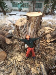 An arborist from Bozeman Arborcare Tree Service LLC standing with a chainsaw next to a large tree stump after removal in Bozeman, MT.