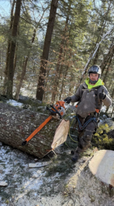 An arborist with a chainsaw and safety gear next to a freshly cut log in a snowy forest for DJ's Tree Service in Colchester, VT.