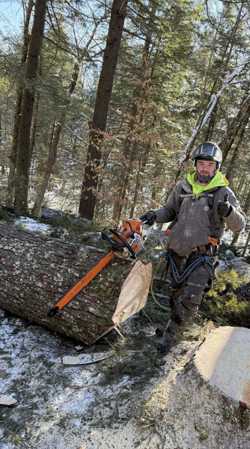 An arborist with a chainsaw and safety gear next to a freshly cut log in a snowy forest for DJ's Tree Service in Colchester, VT.