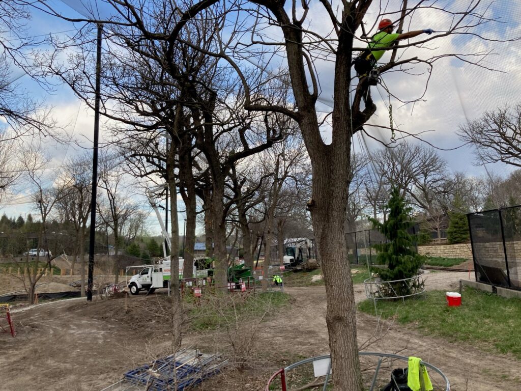 An arborist from Monster Tree Service of Omaha, NE, is working high in a tree with equipment visible in the background.