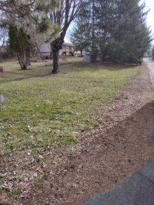 The area cleared of old carpet and wood after junk removal service by One Call Junk Removal in Minneapolis, MN