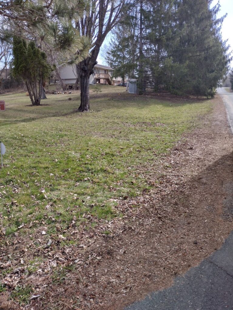 The area cleared of old carpet and wood after junk removal service by One Call Junk Removal in Minneapolis, MN