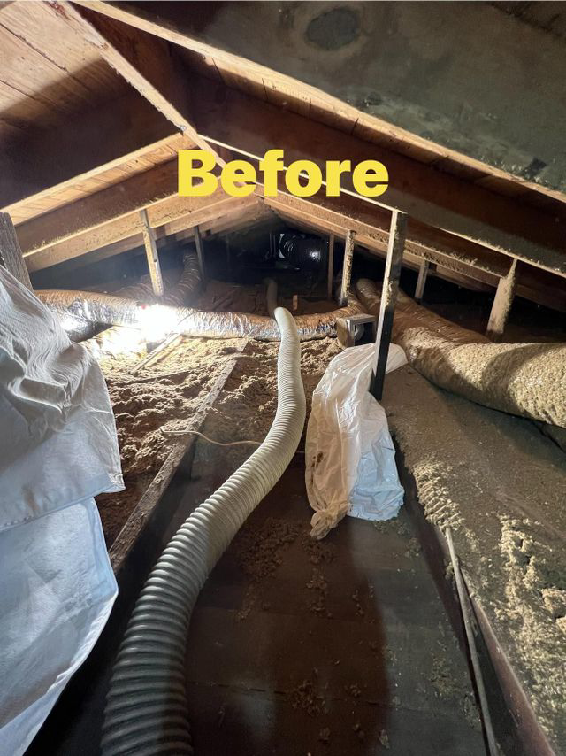 An attic before insulation removal and cleaning by Architectural Insulation in Lake Charles, LA.