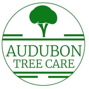 Audubon Tree Care