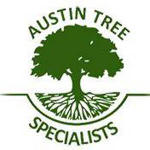 Austin Tree Specialists