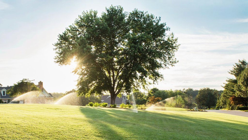 Automatic sprinklers watering a lush green lawn, installed by Rainscapes in Louisville, TN.