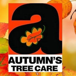 Autumn’s Tree Care and Seasonal Services