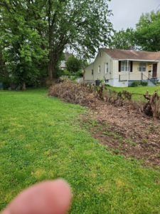 A backyard with piles of cleared brush and cut branches after tree service work by Integrity Tree Service, LLC in Maplewood, MO.