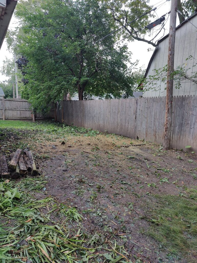 A backyard cleared of trees, with wood chips and logs, after tree removal by Butler's Tree Service in Point of Rocks, MD.