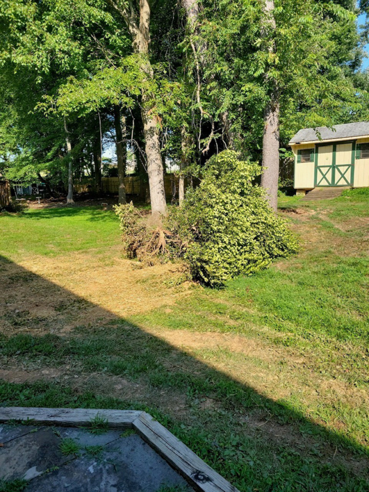 A backyard with a pile of cut branches and debris ready for removal by JDS Home Improvement in Gaithersburg, MD.