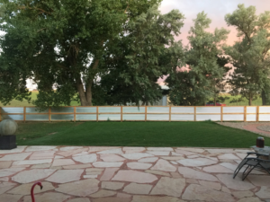 A backyard with a flagstone patio, green lawn, and corrugated metal fence by GKC Landscaping Contractors in Thornton, CO.