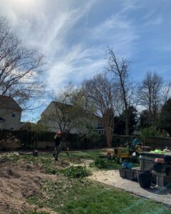 A backyard undergoing land clearing with disturbed ground, a worker, and equipment, handled by Victor Solis Tree Service in Norfolk, VA.