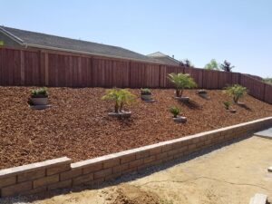 A newly landscaped backyard featuring a retaining wall, mulch, and plants by Bakoboy Enterprise Inc in Bakersfield, CA.