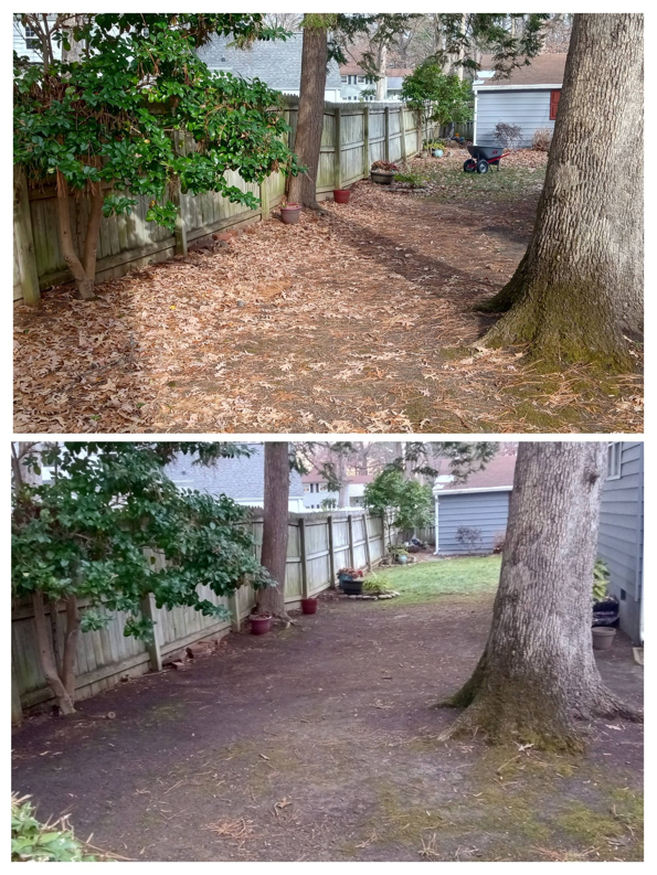 Before and after of a thorough backyard leaf cleanup along a fence by Infinity Lawncare & Contracting LLC in Newport News, VA.