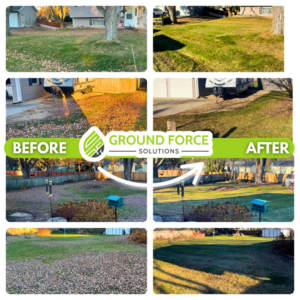 Before and after photos of backyard leaf removal and lawn cleanup by Ground Force Solutions in Madison, WI.