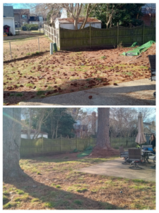 Before and after of backyard pine cone and debris removal by Infinity Lawncare & Contracting LLC in Newport News, VA.