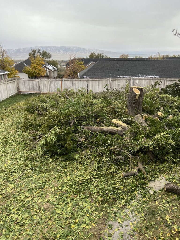 A backyard filled with tree debris and a freshly cut tree stump after tree service work by Golden Tree Service in Provo, UT.