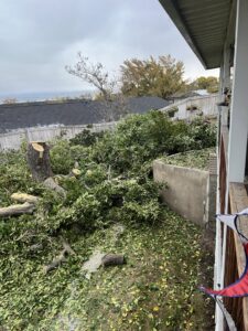 A backyard with tree debris and a tree stump after tree removal services by Golden Tree Service in Provo, UT.